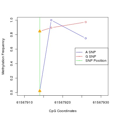 Allele Specific Methylation Frequency Diagram for chr20 61567914 SNP.