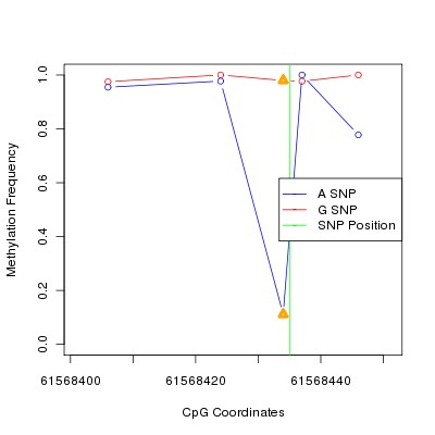 Allele Specific Methylation Frequency Diagram for chr20 61568435 SNP.