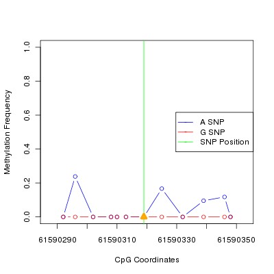 Allele Specific Methylation Frequency Diagram for chr20 61590319 SNP.