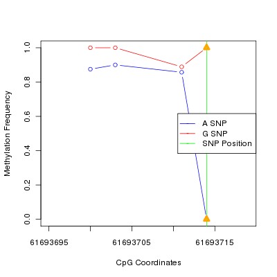 Allele Specific Methylation Frequency Diagram for chr20 61693714 SNP.