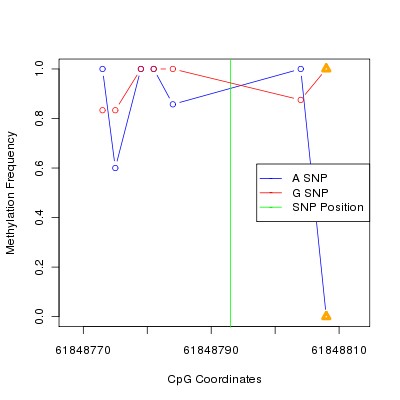 Allele Specific Methylation Frequency Diagram for chr20 61848793 SNP.