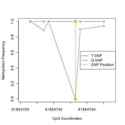 Allele Specific Methylation Frequency Diagram for chr20 61854753 SNP.