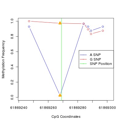 Allele Specific Methylation Frequency Diagram for chr20 61869269 SNP.