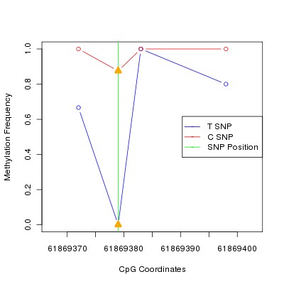 Allele Specific Methylation Frequency Diagram for chr20 61869379 SNP.