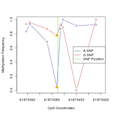 Allele Specific Methylation Frequency Diagram for chr20 61873385 SNP.