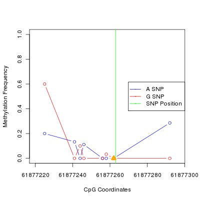 Allele Specific Methylation Frequency Diagram for chr20 61877263 SNP.