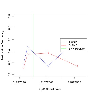 Allele Specific Methylation Frequency Diagram for chr20 61877330 SNP.