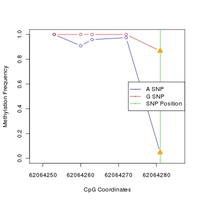 Allele Specific Methylation Frequency Diagram for chr20 62064281 SNP.