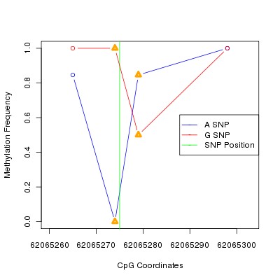 Allele Specific Methylation Frequency Diagram for chr20 62065275 SNP.