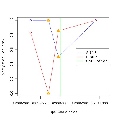 Allele Specific Methylation Frequency Diagram for chr20 62065280 SNP.