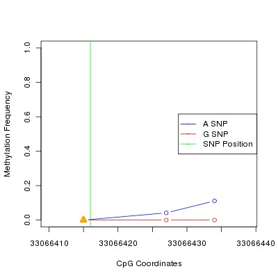 Allele Specific Methylation Frequency Diagram for chr21 33066416 SNP.