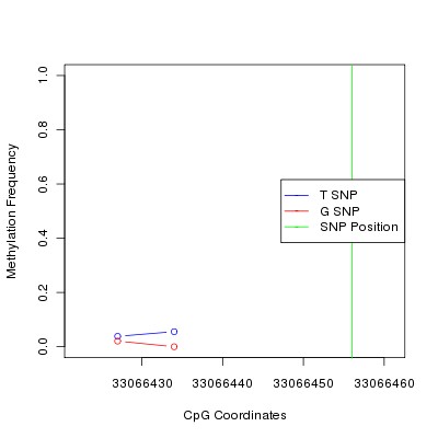 Allele Specific Methylation Frequency Diagram for chr21 33066456 SNP.