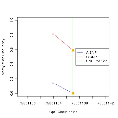 Allele Specific Methylation Frequency Diagram for chr3 75801137 SNP.