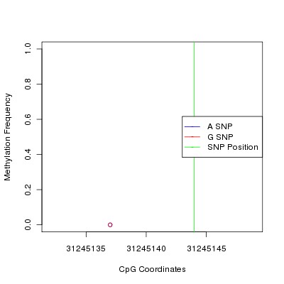 Allele Specific Methylation Frequency Diagram for chr6 31245144 SNP.