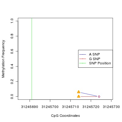 Allele Specific Methylation Frequency Diagram for chr6 31245691 SNP.