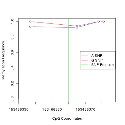 Allele Specific Methylation Frequency Diagram for chrX 153466360 SNP.