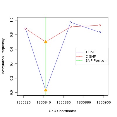 Allele Specific Methylation Frequency Diagram for chr11 1830842 SNP.