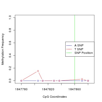 Allele Specific Methylation Frequency Diagram for chr11 1847860 SNP.