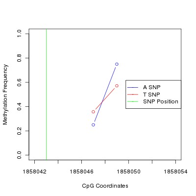 Allele Specific Methylation Frequency Diagram for chr11 1858043 SNP.