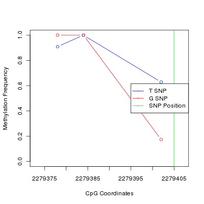 Allele Specific Methylation Frequency Diagram for chr11 2279405 SNP.