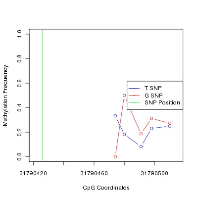 Allele Specific Methylation Frequency Diagram for chr11 31790426 SNP.