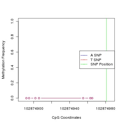 Allele Specific Methylation Frequency Diagram for chr12 102874981 SNP.