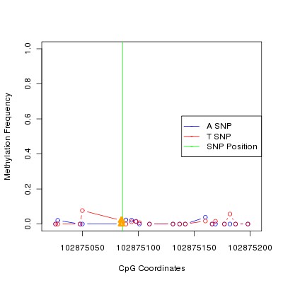 Allele Specific Methylation Frequency Diagram for chr12 102875086 SNP.