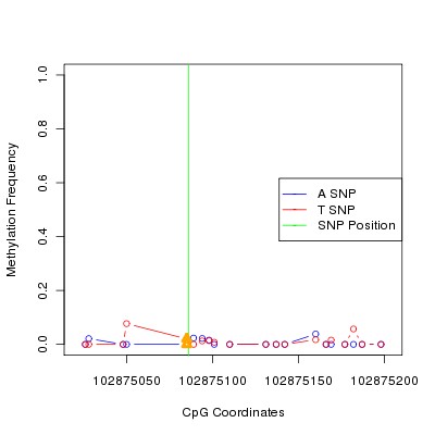 Allele Specific Methylation Frequency Diagram for chr12 102875086 SNP.