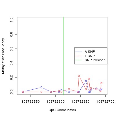 Allele Specific Methylation Frequency Diagram for chr12 106762616 SNP.