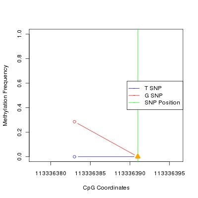 Allele Specific Methylation Frequency Diagram for chr12 113336391 SNP.