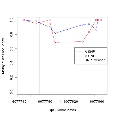 Allele Specific Methylation Frequency Diagram for chr12 116077774 SNP.