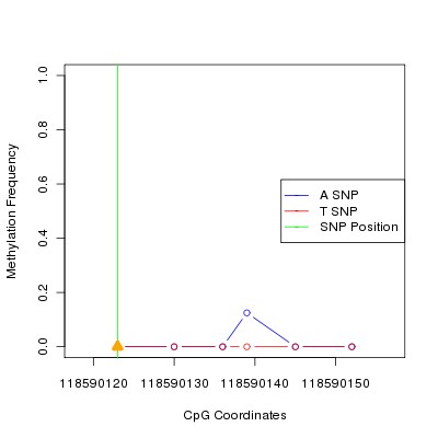 Allele Specific Methylation Frequency Diagram for chr12 118590123 SNP.