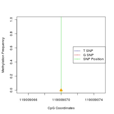 Allele Specific Methylation Frequency Diagram for chr12 119009070 SNP.