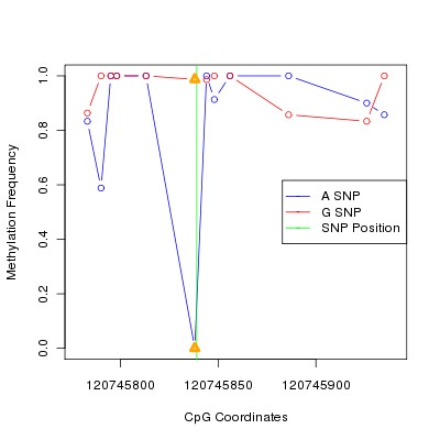 Allele Specific Methylation Frequency Diagram for chr12 120745839 SNP.