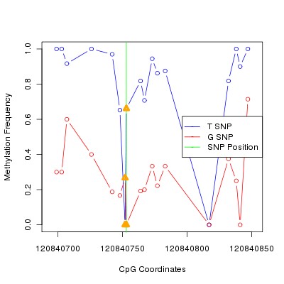 Allele Specific Methylation Frequency Diagram for chr12 120840753 SNP.