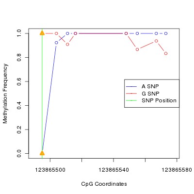 Allele Specific Methylation Frequency Diagram for chr12 123865495 SNP.