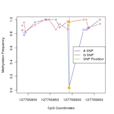 Allele Specific Methylation Frequency Diagram for chr12 127755894 SNP.