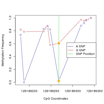 Allele Specific Methylation Frequency Diagram for chr12 129189268 SNP.