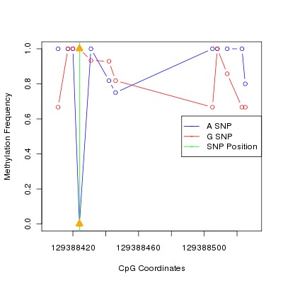 Allele Specific Methylation Frequency Diagram for chr12 129388424 SNP.