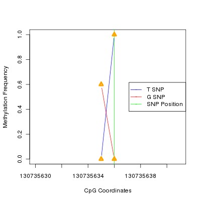 Allele Specific Methylation Frequency Diagram for chr12 130735636 SNP.