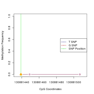 Allele Specific Methylation Frequency Diagram for chr12 130881439 SNP.