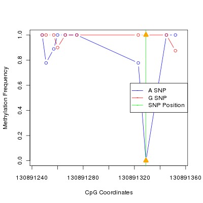 Allele Specific Methylation Frequency Diagram for chr12 130891329 SNP.