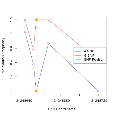 Allele Specific Methylation Frequency Diagram for chr12 131248655 SNP.