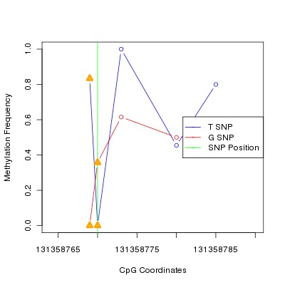 Allele Specific Methylation Frequency Diagram for chr12 131358770 SNP.