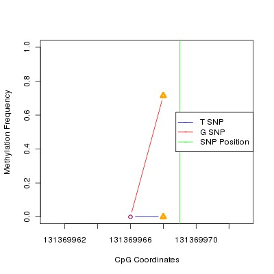 Allele Specific Methylation Frequency Diagram for chr12 131369969 SNP.