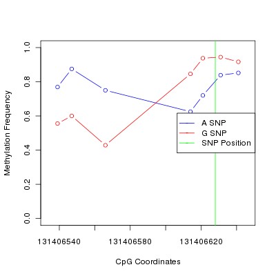 Allele Specific Methylation Frequency Diagram for chr12 131406628 SNP.