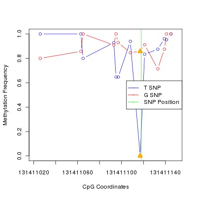 Allele Specific Methylation Frequency Diagram for chr12 131411118 SNP.