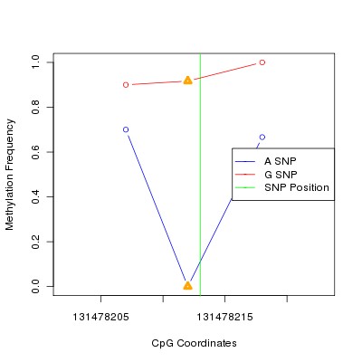 Allele Specific Methylation Frequency Diagram for chr12 131478213 SNP.