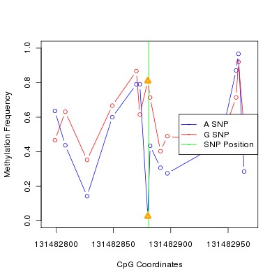 Allele Specific Methylation Frequency Diagram for chr12 131482881 SNP.