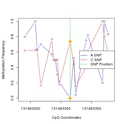 Allele Specific Methylation Frequency Diagram for chr12 131493315 SNP.